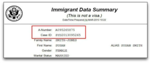 what is alien number on i797