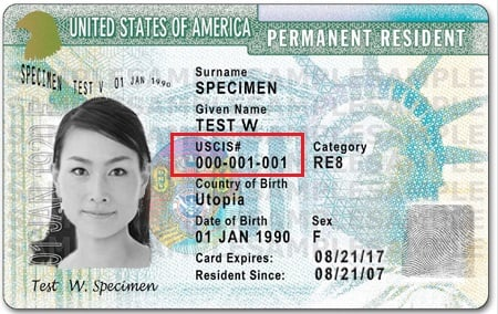 check alien number status